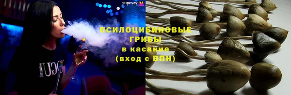 шишки Алзамай