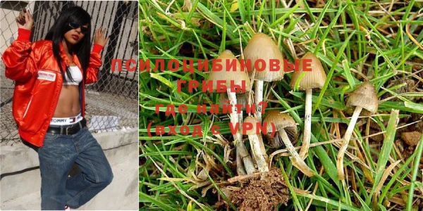 шишки Алзамай