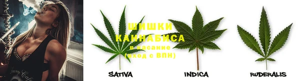 шишки Алзамай