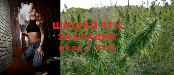 шишки Алзамай