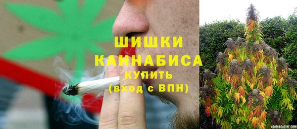 гашик Мегион