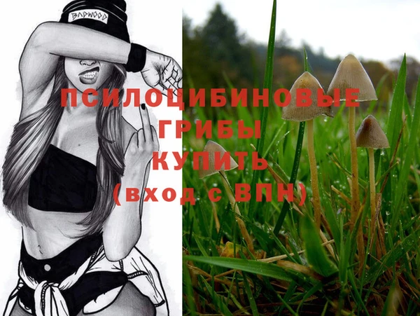 шишки Алзамай