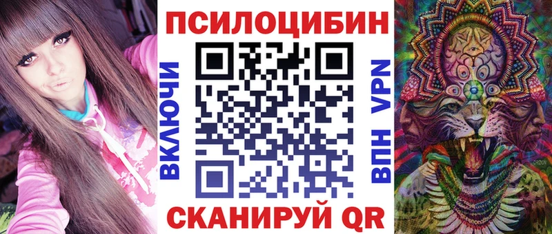 купить   Ижевск  blacksprut сайт  Псилоцибиновые грибы Cubensis 